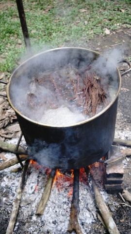 Boiling ayahuasca ingredients over fire