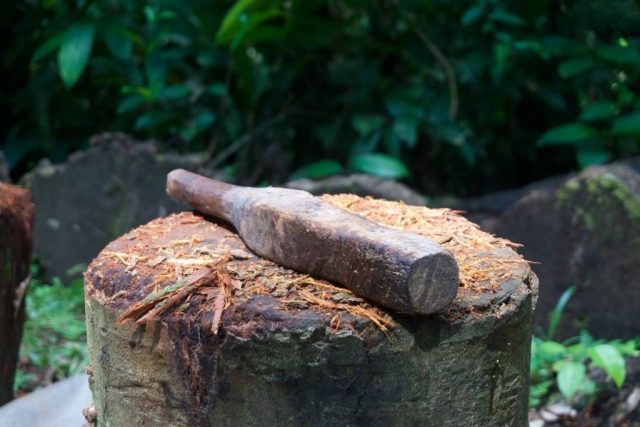 ayahuasca pounding mallet and block