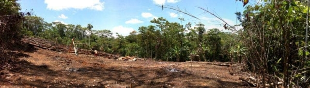 rainforest healing center new kitchen site