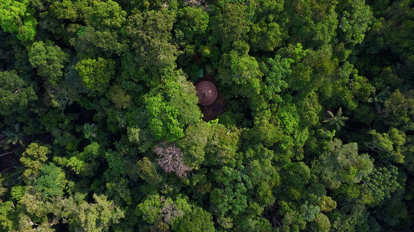 Rainforest Healing Center aerial footage maloka ceremonial structure