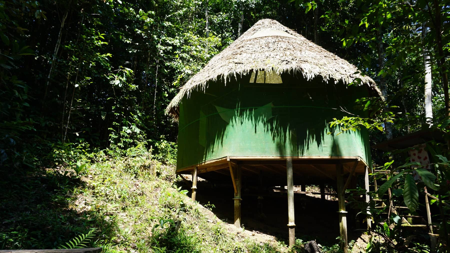 tambo ananda ayahuasca retreat center peru