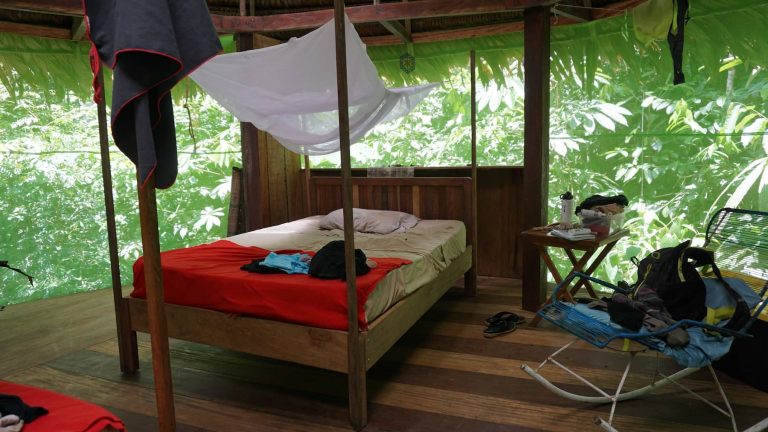 private tambo at rainforest healing center